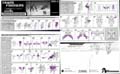 Windburn with Darkray hires scan of Instructions